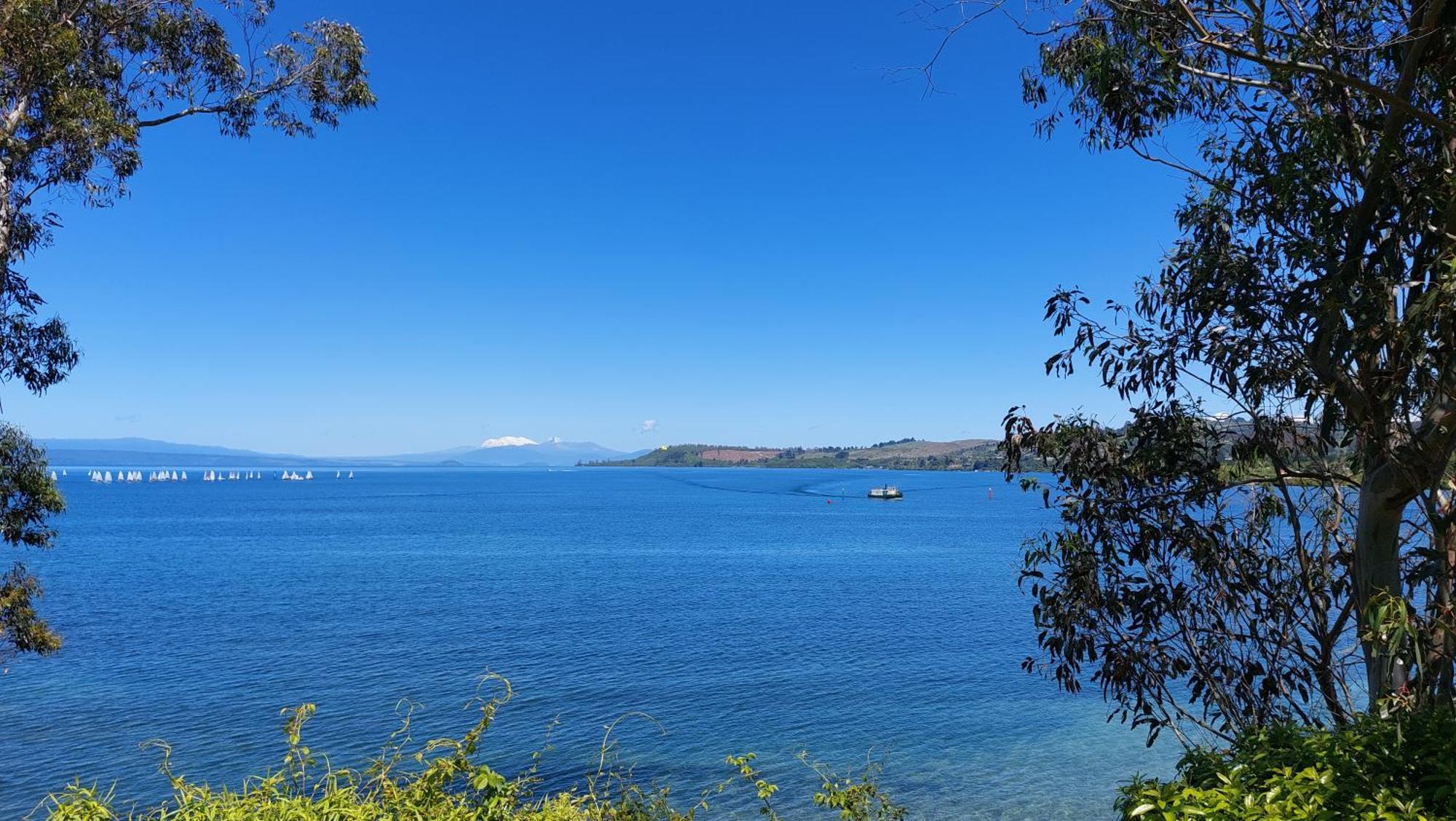 Bed And Breakfast Happy Home Taupo Accommodation Buitenkant foto